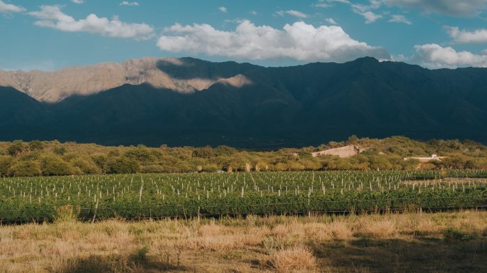 Córdoba y sus vinos: un destino enoturístico que conquista a los chilenos