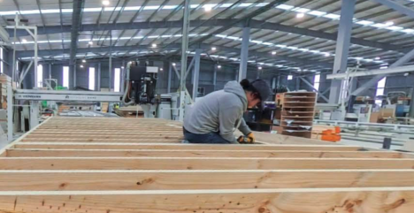 Construcción en madera: de la política pública a la acción