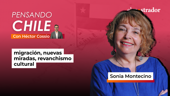 Sonia Montecino: “En Chile habita una camanchaca mental, que al despejarse revela tierra fértil”