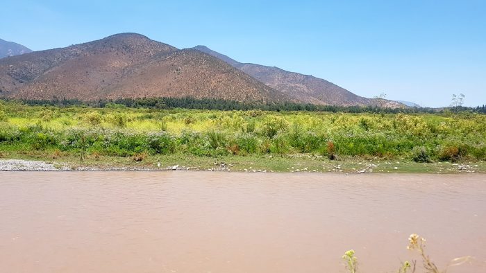 Río Maipo de Melipilla: el gigante verde que invita a reconectar con la naturaleza