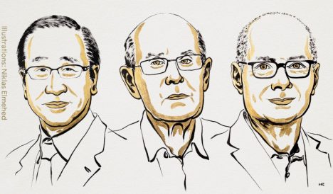 Nobel de Química premia el desarrollo de un nuevo tipo de arquitectura molecular
