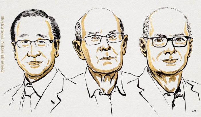 Nobel de Química premia el desarrollo de un nuevo tipo de arquitectura molecular