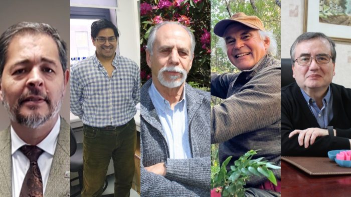 Científicos de la UACh en el Top 2% de los más citados del mundo