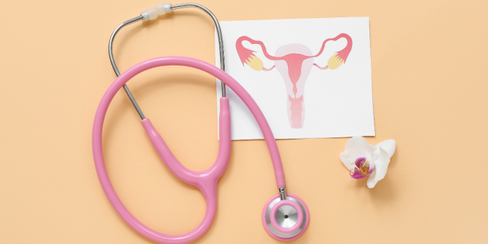 Qué es la ginecología regenerativa y cómo mejora la salud íntima de la mujer
