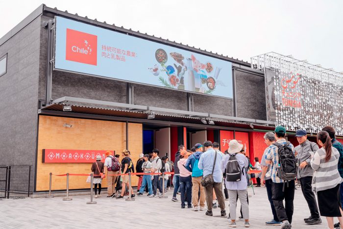 Desde Expo Osaka: Cabo de Hornos se posiciona como refugio global para protección de biodiversidad