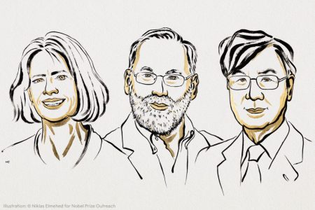 Nobel de Medicina: así descifraron el sistema inmunológico