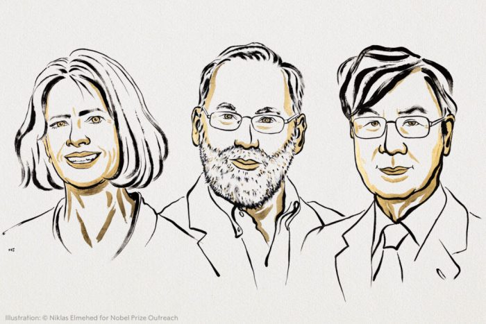 Nobel de Medicina: así descifraron el sistema inmunológico