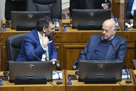 Senador de Rementería (PS): "Voy a apoyar a José Miguel Insulza y también en lo posible a mi pareja"