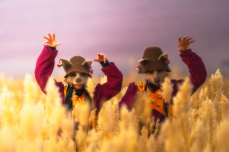 Obra de teatro busca recuperar lengua kcunza a través de la cosmovisión atacameña en Antofagasta