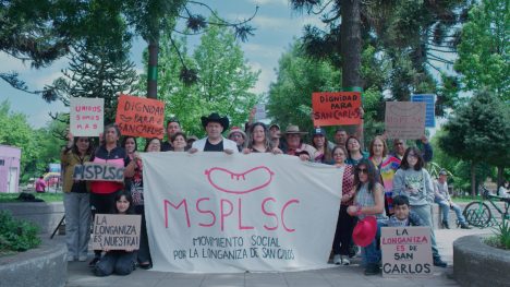 Festival de Cine Felina en Maule