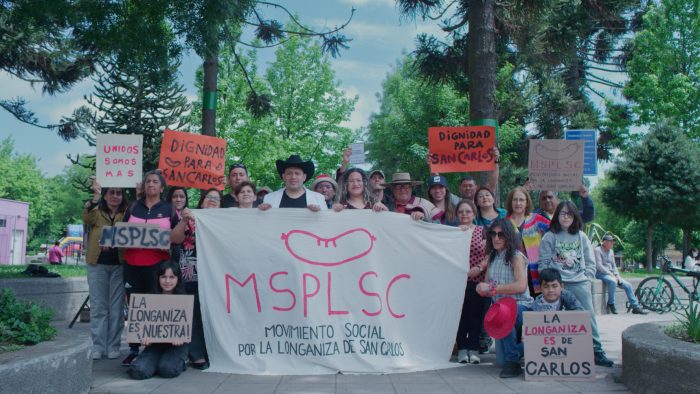 Festival de Cine Felina en Maule