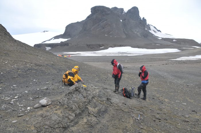 Descubren fósil de helecho que habitó la Antártica durante la era de los dinosaurios