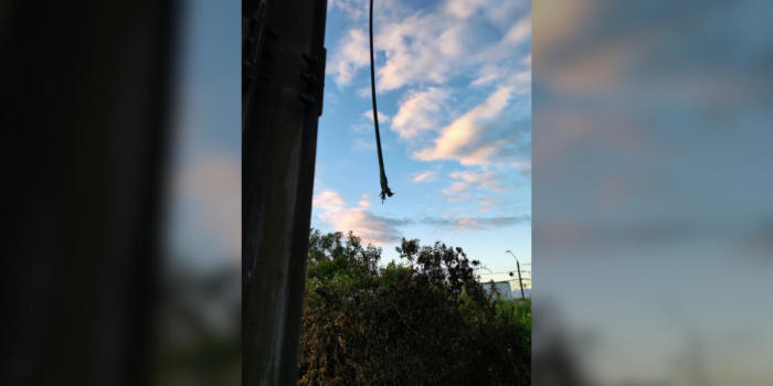 Robo de cables: se suspenden viajes del Biotrén en la Región del Biobío