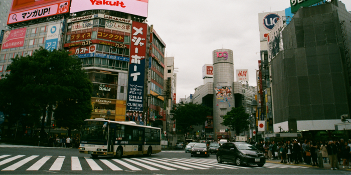 Japón: un viaje donde tradición y vanguardia conviven para revelar un destino incomparable