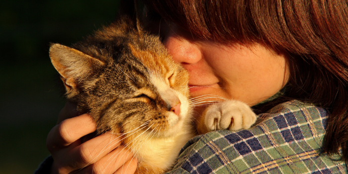 Cámara aprueba proyecto que otorga permiso laboral por muerte de mascota y lo envía al Senado