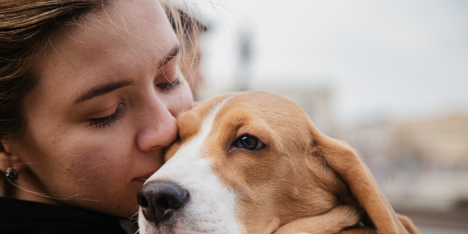 Estudio revela que perros pueden portar y transmitir bacterias resistentes a antibióticos humano