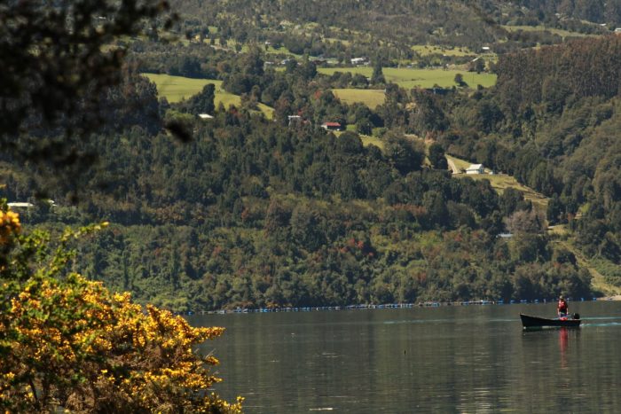 Las mujeres de Rollizo que ahúman y dan valor a los productos del mar en la caleta de Puerto Varas