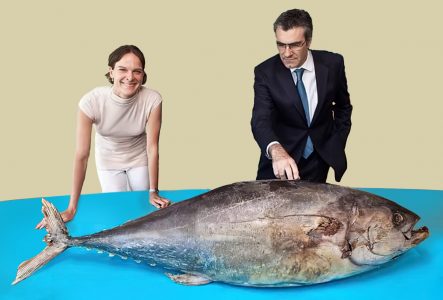 INAPI frena intento privado de apropiarse de marca “Isla de Pascua” y abre debate sobre patrimonio