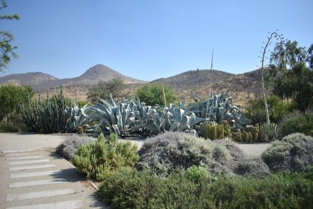 Parque Jardín Botánico Quilapilún: Un modelo de conservación para Chile