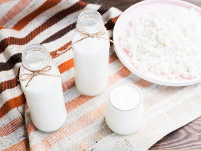 Probióticos: qué son, para qué sirven y cómo incorporarlos en la dieta según expertas