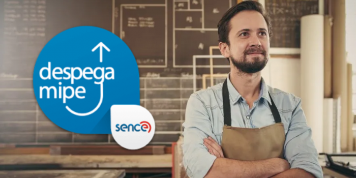 Cursos gratuitos del Sence para emprendedores: revisa las postulaciones abiertas de noviembre