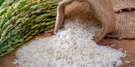 El arroz que podría cambiar la agricultura: resistente al calor y al cambio climático