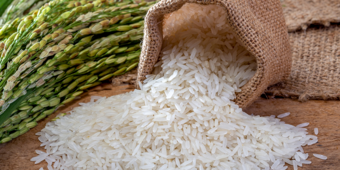 El arroz que podría cambiar la agricultura: resistente al calor y al cambio climático