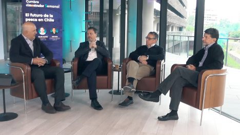 Ley de Pesca: la batalla para legitimar y aprovechar los beneficios económicos del mar chileno