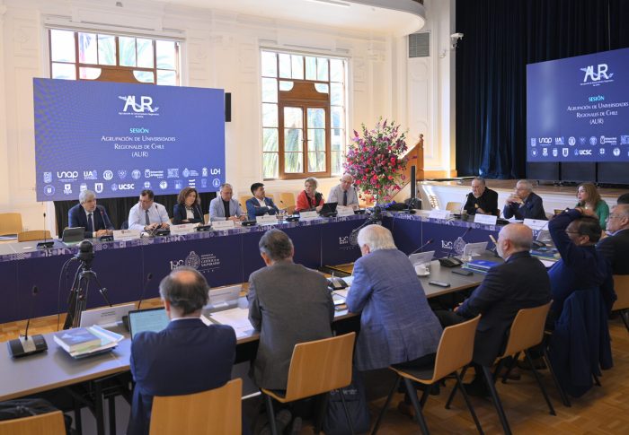 Diversidad e inclusión que dialogan: aportes desde las universidades regionales