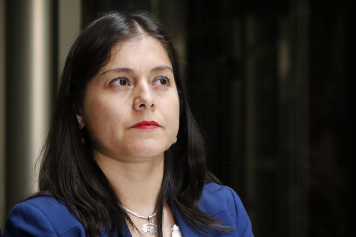 Diputada Medina, ex PDG: ciudadanía quiere seguridad, pero no "desde la mentira y el miedo"