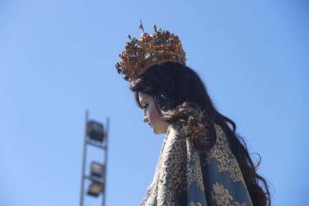 Caballo muere durante peregrinación a Lo Vásquez en Curacaví