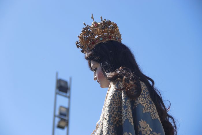 Caballo muere durante peregrinación a Lo Vásquez en Curacaví