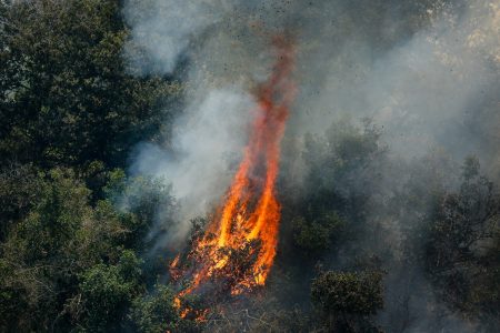 Senapred ordena evacuar localidades de Santo Domingo por incendio forestal