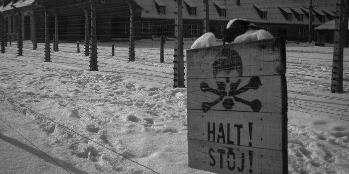 El lenguaje en los campos de concentración