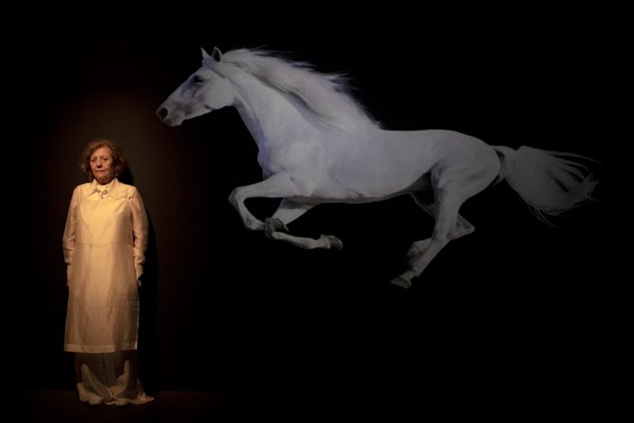 Obra “Caballo” en Teatro Ictus