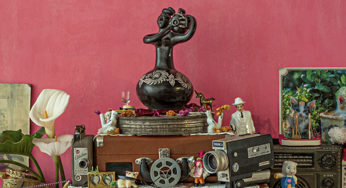 Festival de Cine de Ñuble