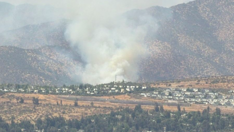 Incendio forestal moviliza a 12 compañías de Bomberos en sector San Carlos de Apoquindo