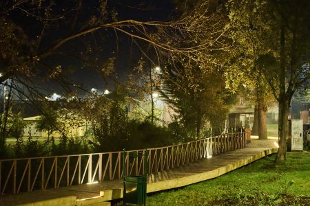 Alcaldesa de Valdivia: “Imagino una ciudad donde todos los niños tengan cerca un humedal cuidado”