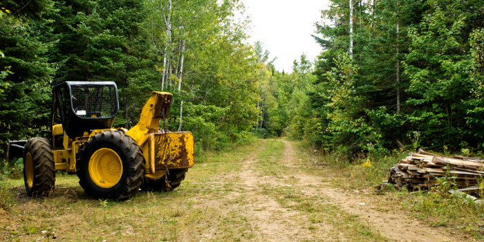 Liderazgo silvoagropecuario en un mundo en transformación