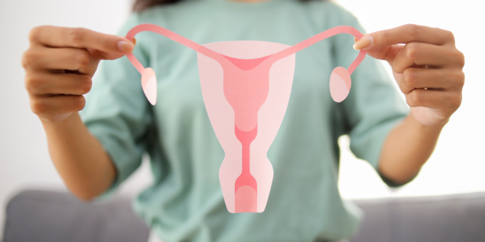 Chile lanza el primer libro de Latinoamérica dedicado a la Insuficiencia Ovárica Prematura