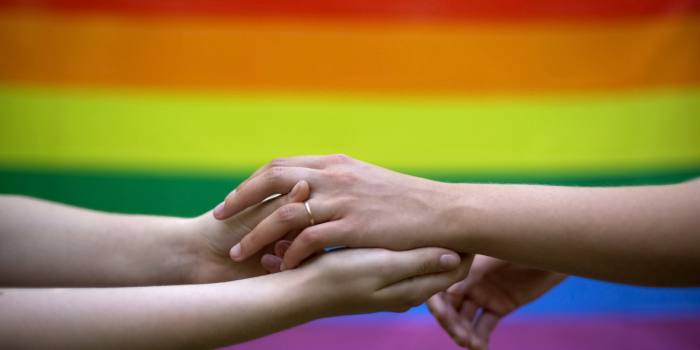 Matrimonio igualitario: más de 7.500 uniones en Chile en medio de alertas por posibles retrocesos