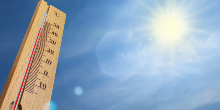 Ola de calor al cierre del año: la zona central se acerca a 40° y alertan por salud humana y animal