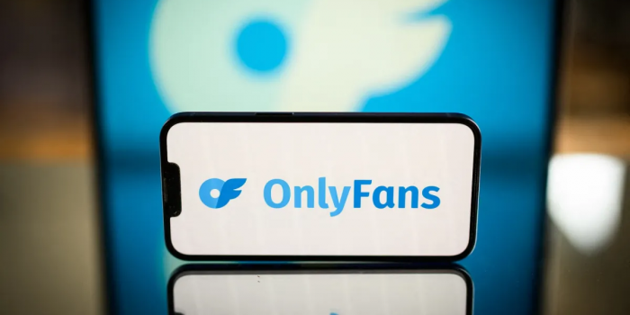 Chilenos gastan más de US$58 millones en OnlyFans y entra al top 20 del consumo mundial