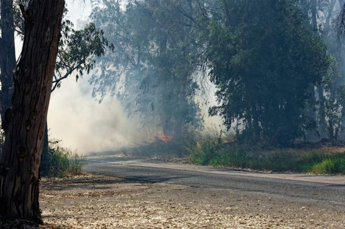 Humo de incendios forestales en Santiago: riesgos para la salud y cómo protegerse