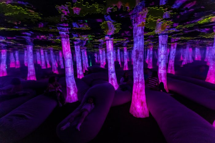 Dopamine Land: una experiencia multisensorial para jugar, moverse y reconectar con los sentidos