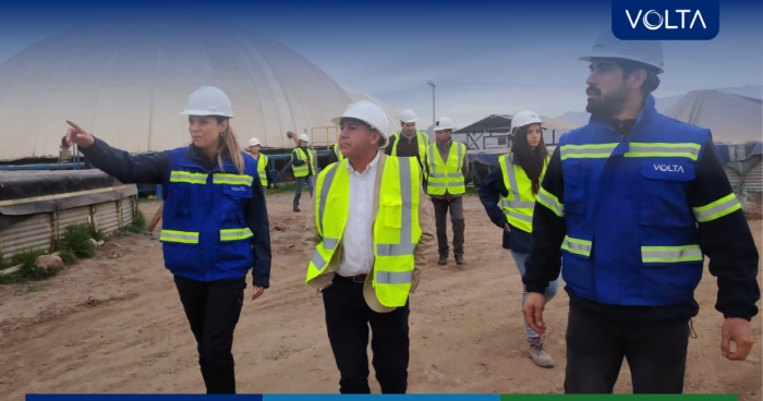 Conflictos de intereses en tribunales ambientales: el caso Višnja Mušić