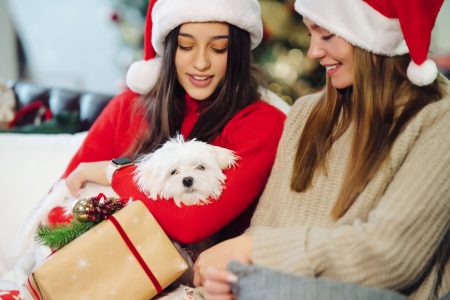 Regalar una mascota en Navidad: un camino para generar responsabilidad, empatía y vínculos afectivos