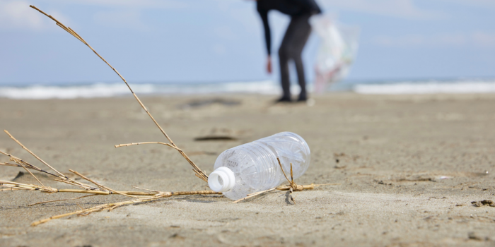 Estudio chileno revela cómo lluvias y vientos incrementan la basura en playas del centro-norte