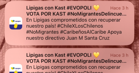 Lipigas señala que mensaje instando a votar por Kast fue "ajeno a la compañía"