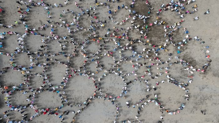 Estudio ENVIS: urgencias inmediatas dominan el desarrollo y proyectos colectivos quedan para después